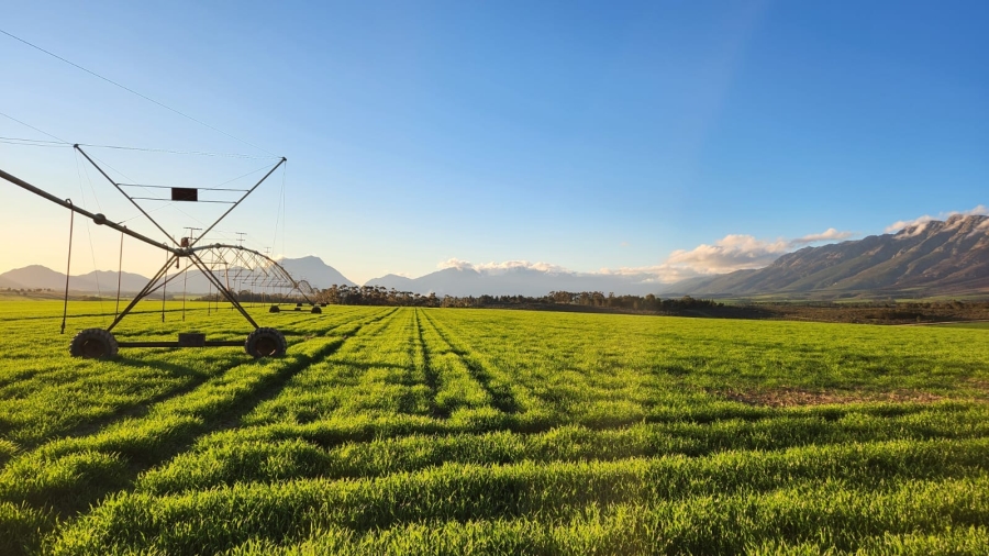 Commercial Property for Sale in Wolseley Western Cape